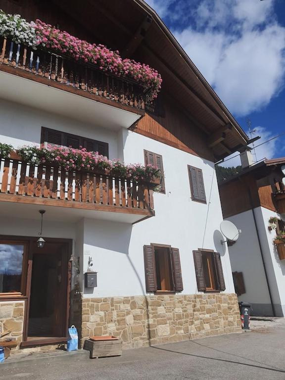 Casa Phoenix Appartamento Piano Terra Immerso Nel Verde A Pochi Minuti Dalla Ciclabile Pieve di Cadore Bagian luar foto