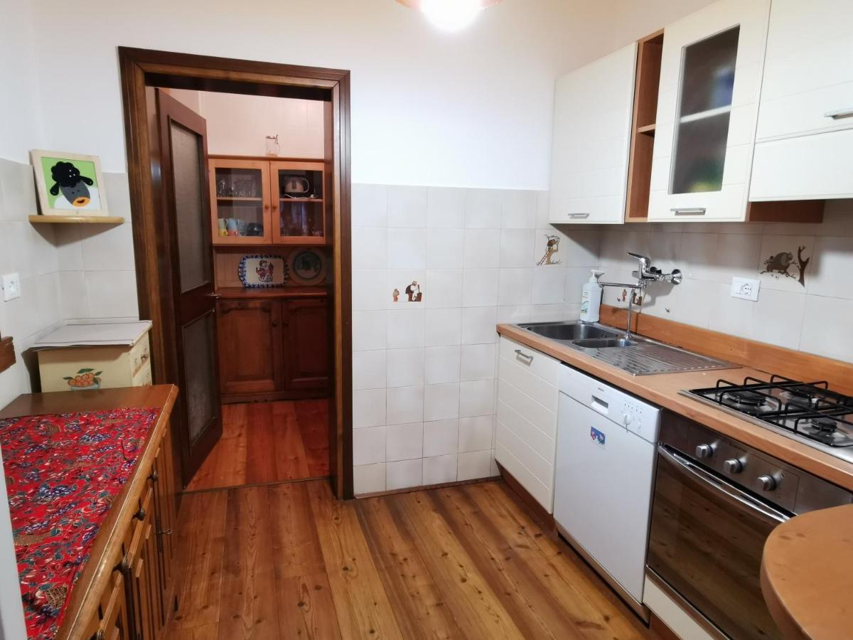 Casa Phoenix Appartamento Piano Terra Immerso Nel Verde A Pochi Minuti Dalla Ciclabile Pieve di Cadore Bagian luar foto