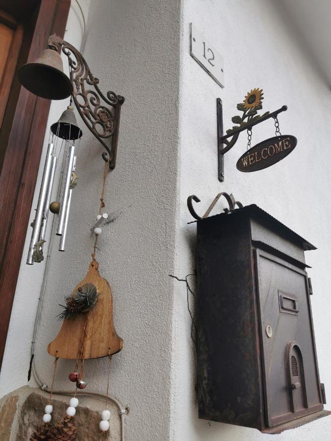 Casa Phoenix Appartamento Piano Terra Immerso Nel Verde A Pochi Minuti Dalla Ciclabile Pieve di Cadore Bagian luar foto